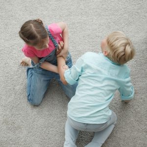 Dispute entre frère et soeur