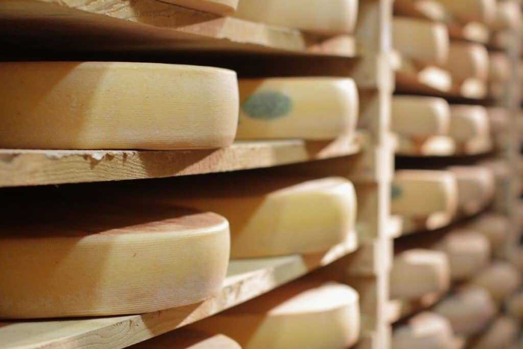 Affinage des meules de comté