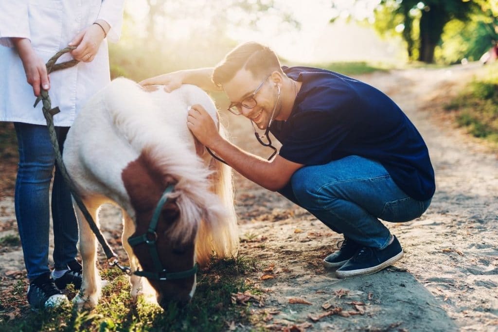 Soigneurs avec un petit poney