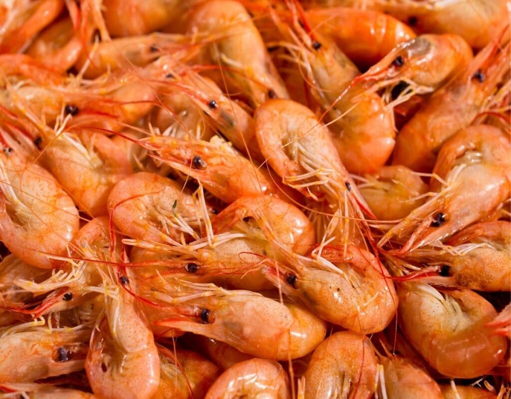 Crevettes cuites